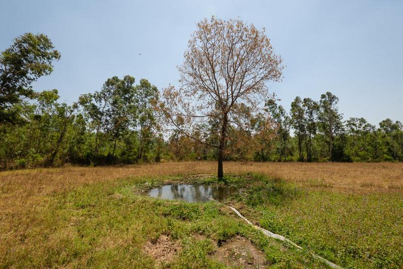 Upvan Wildlife Resort - Pura Stays Kalagarh Экстерьер фото